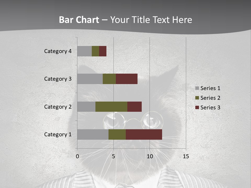 Studio Kitten Feline PowerPoint Template