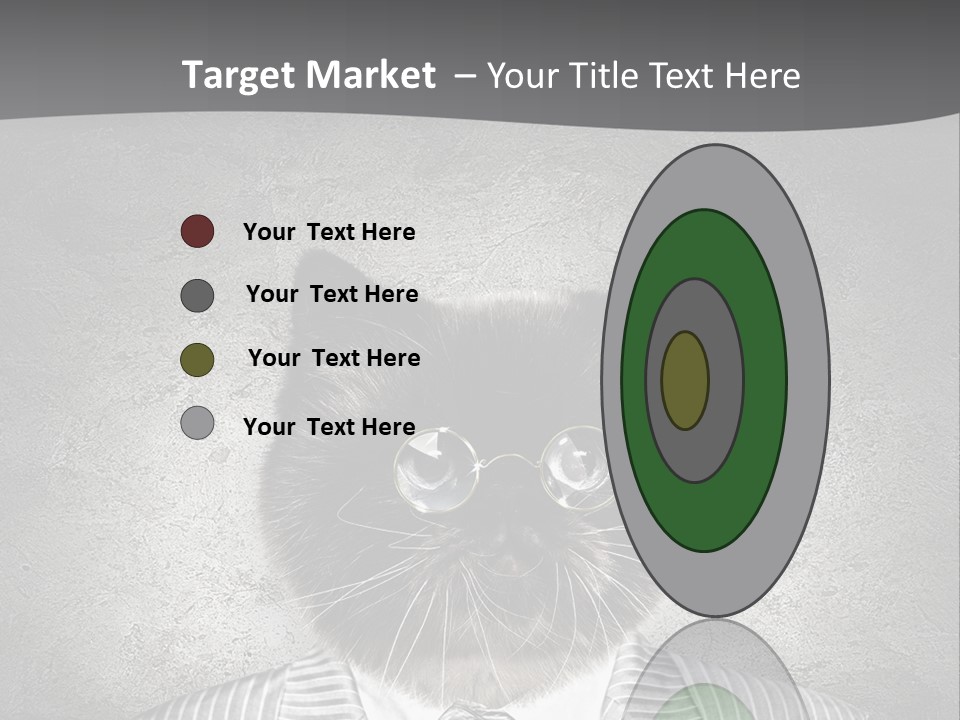 Studio Kitten Feline PowerPoint Template