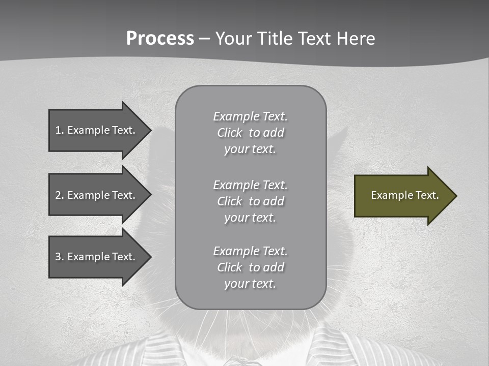 Studio Kitten Feline PowerPoint Template