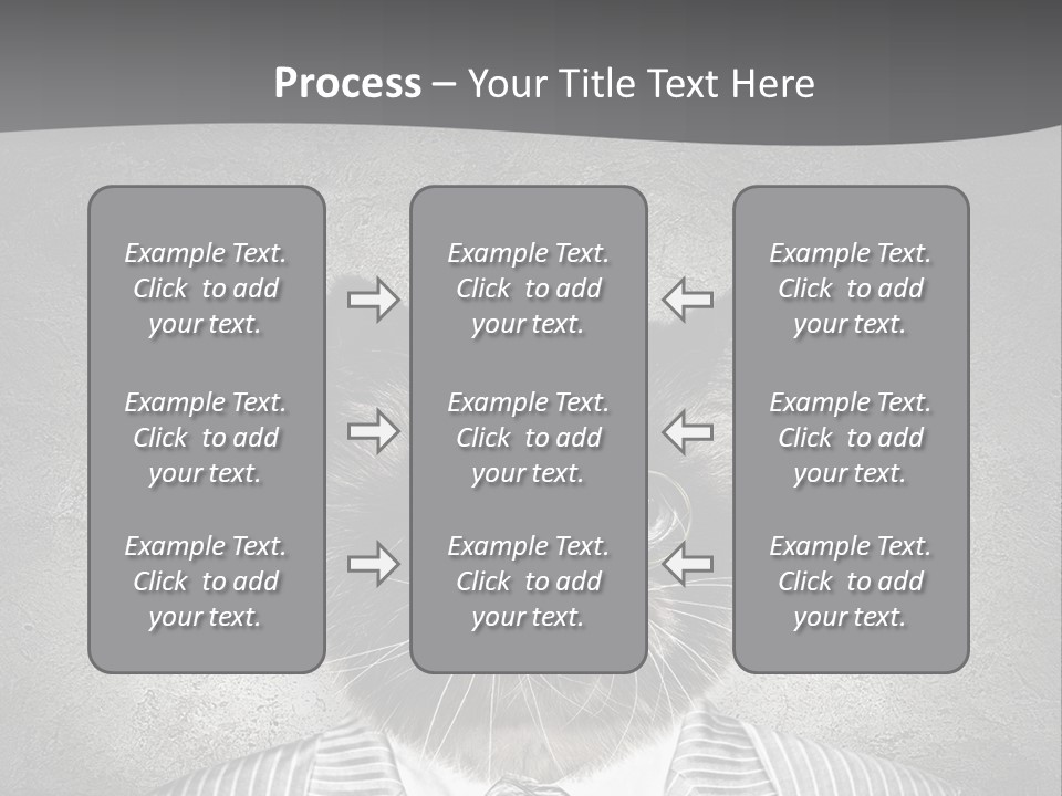 Studio Kitten Feline PowerPoint Template