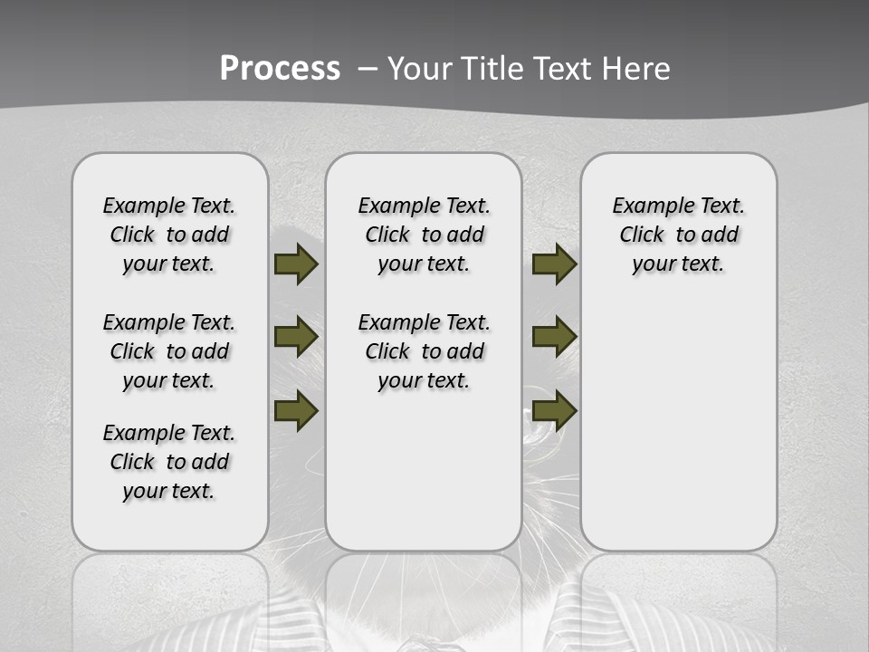 Studio Kitten Feline PowerPoint Template