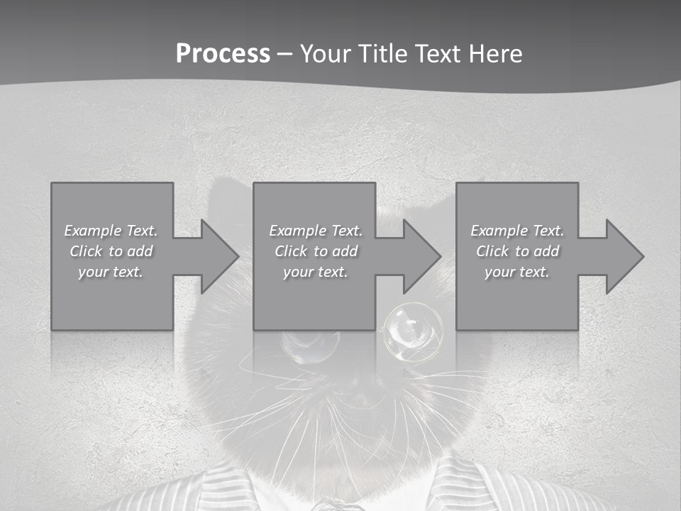 Studio Kitten Feline PowerPoint Template