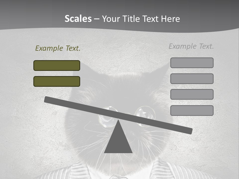 Studio Kitten Feline PowerPoint Template