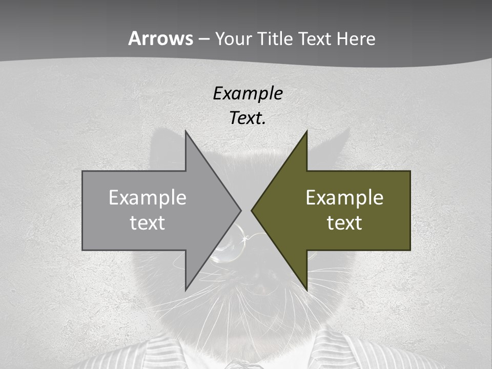 Studio Kitten Feline PowerPoint Template