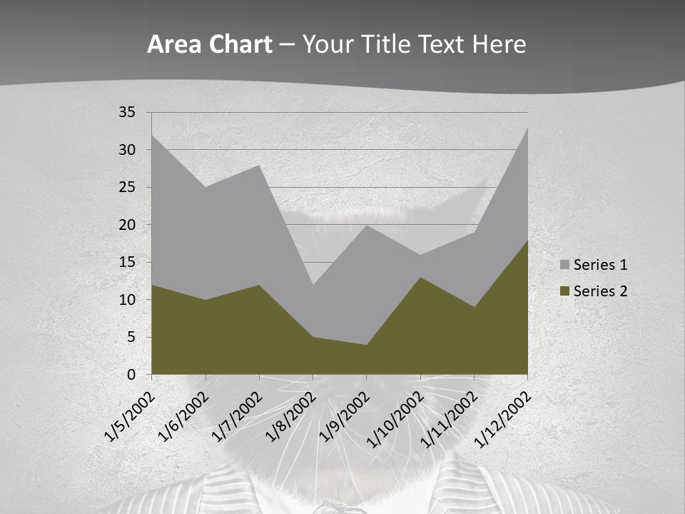 Studio Kitten Feline PowerPoint Template