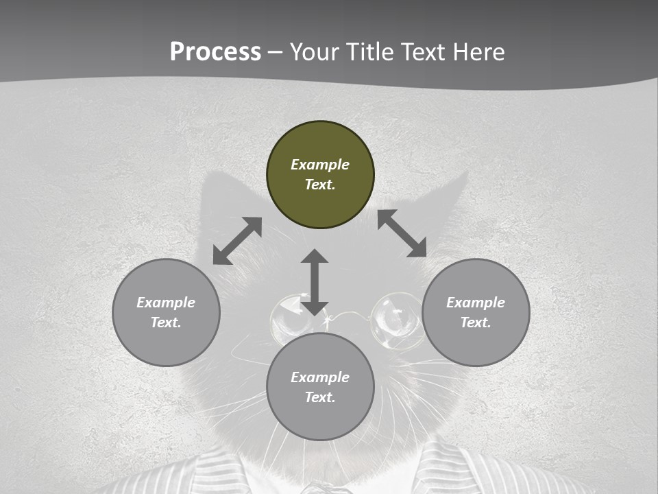 Studio Kitten Feline PowerPoint Template