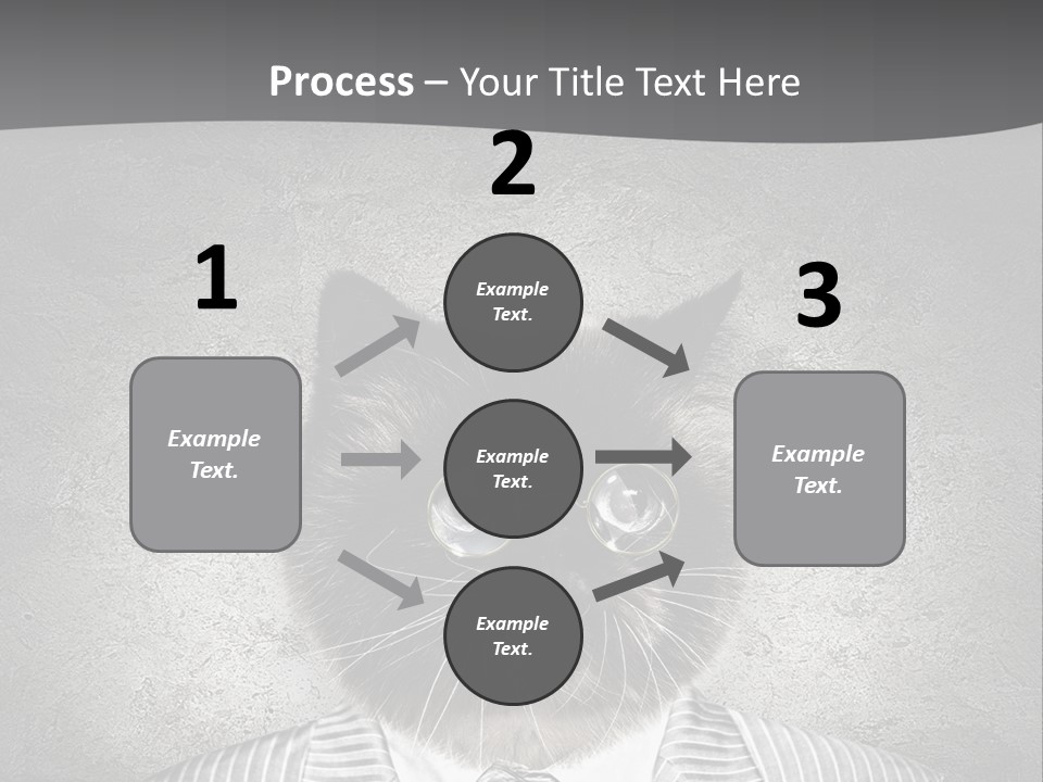 Studio Kitten Feline PowerPoint Template