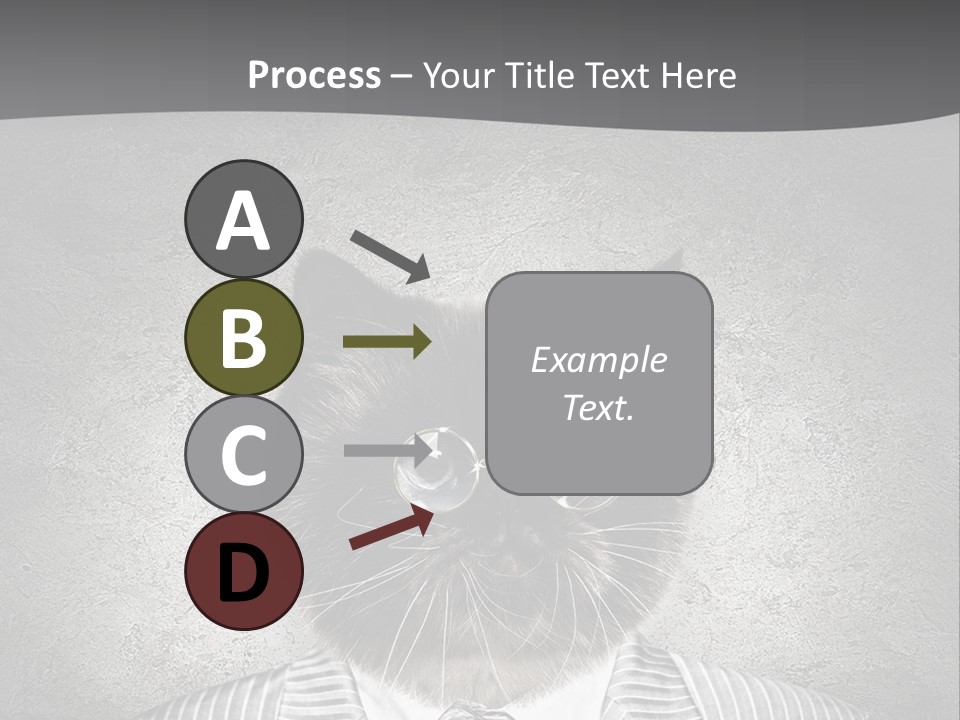 Studio Kitten Feline PowerPoint Template