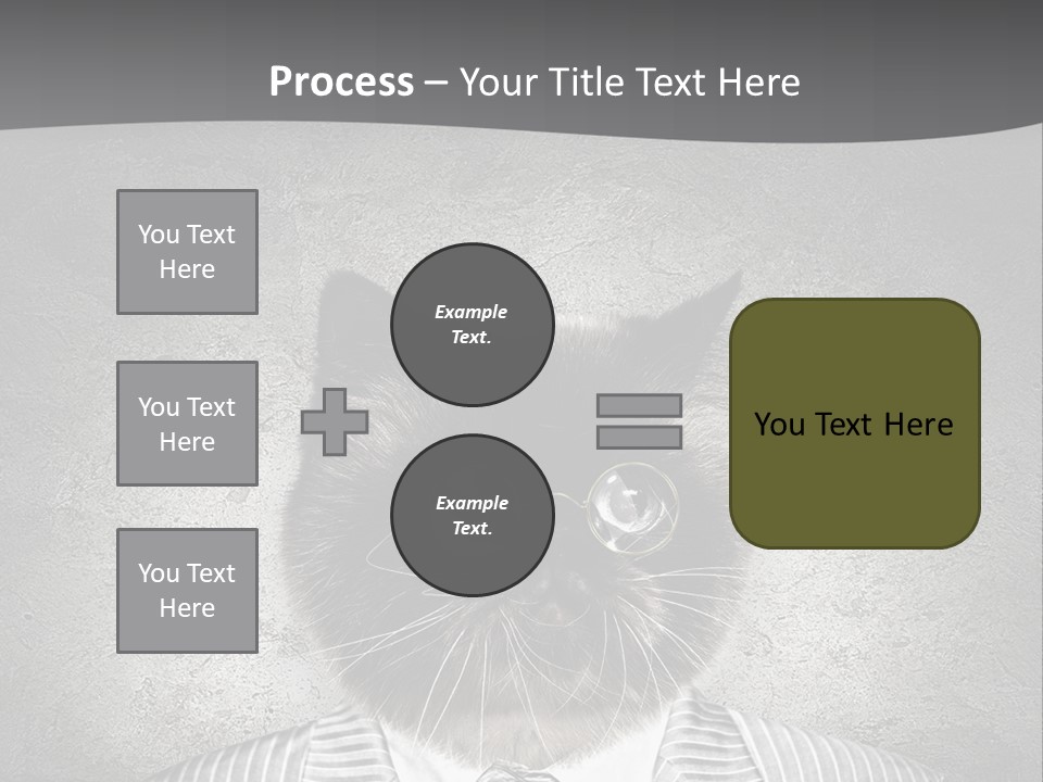 Studio Kitten Feline PowerPoint Template