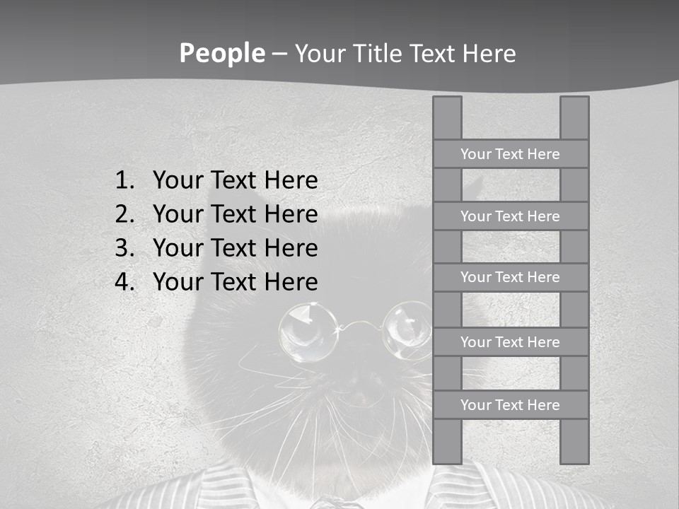 Studio Kitten Feline PowerPoint Template