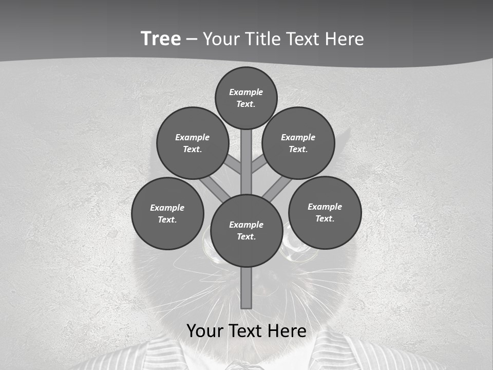 Studio Kitten Feline PowerPoint Template