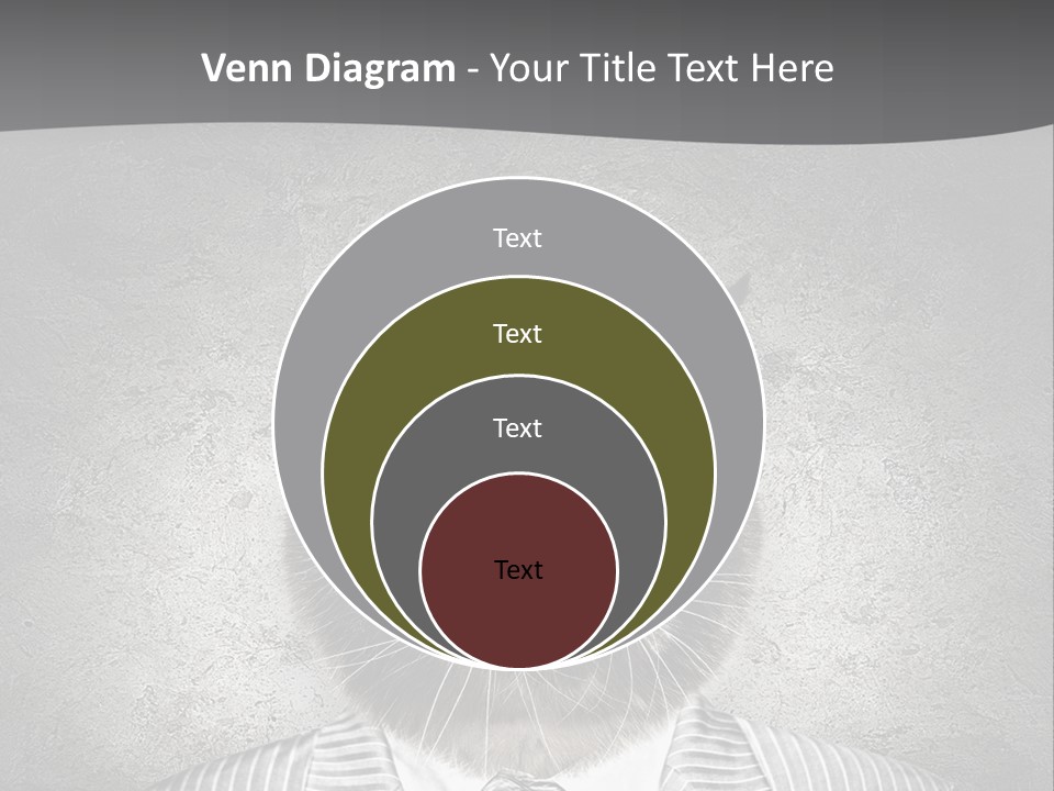 Studio Kitten Feline PowerPoint Template