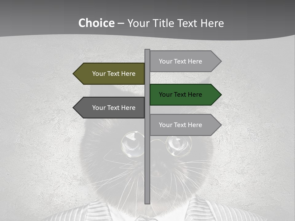 Studio Kitten Feline PowerPoint Template