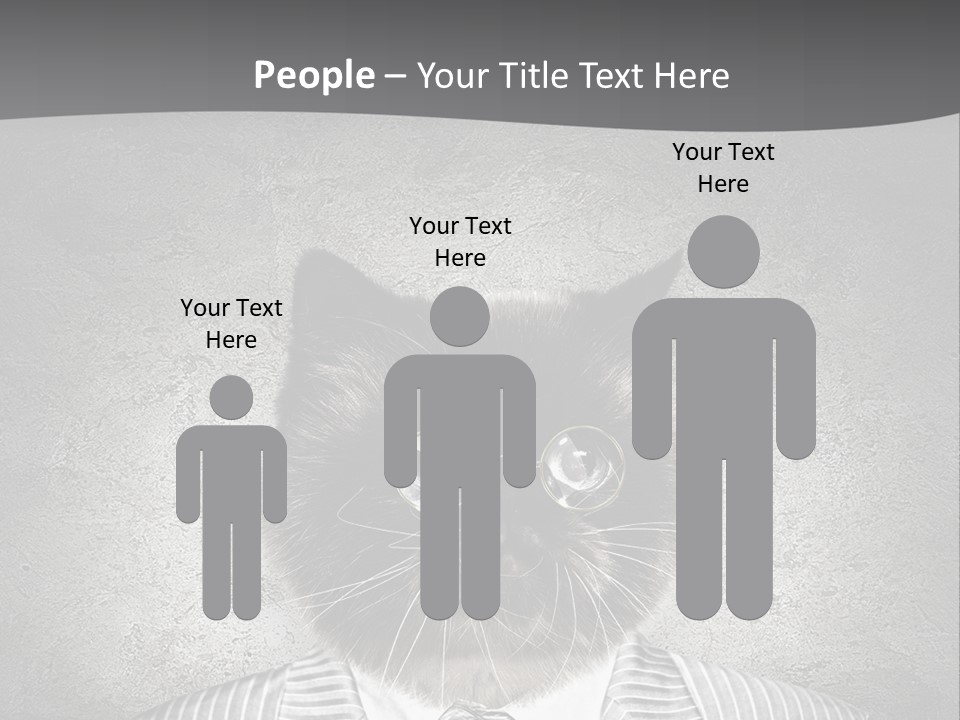 Studio Kitten Feline PowerPoint Template