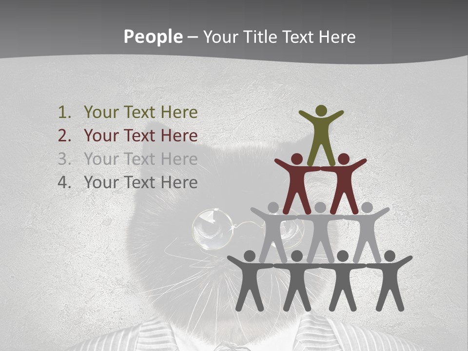 Studio Kitten Feline PowerPoint Template