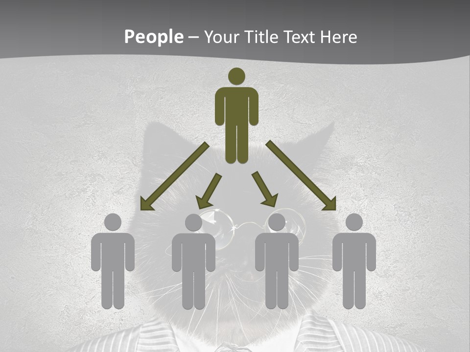 Studio Kitten Feline PowerPoint Template