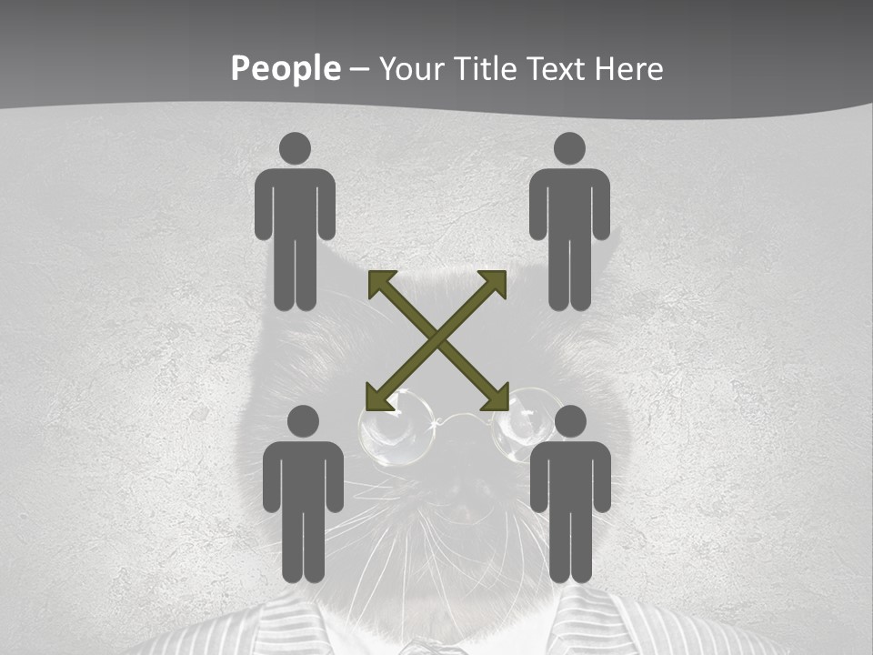 Studio Kitten Feline PowerPoint Template