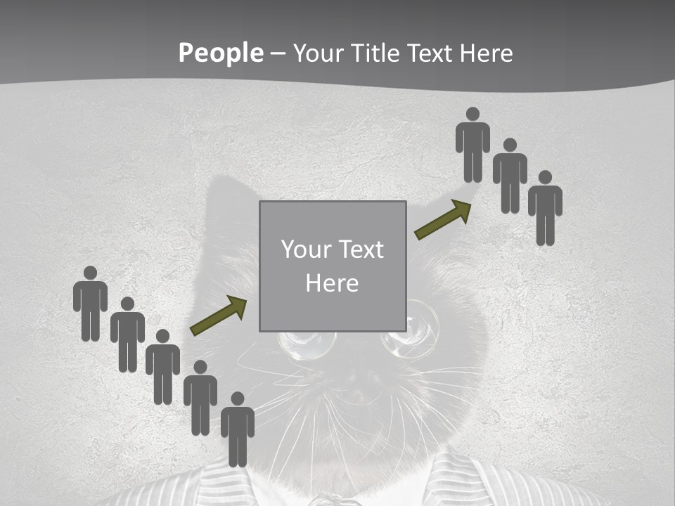 Studio Kitten Feline PowerPoint Template