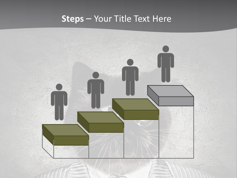 Studio Kitten Feline PowerPoint Template