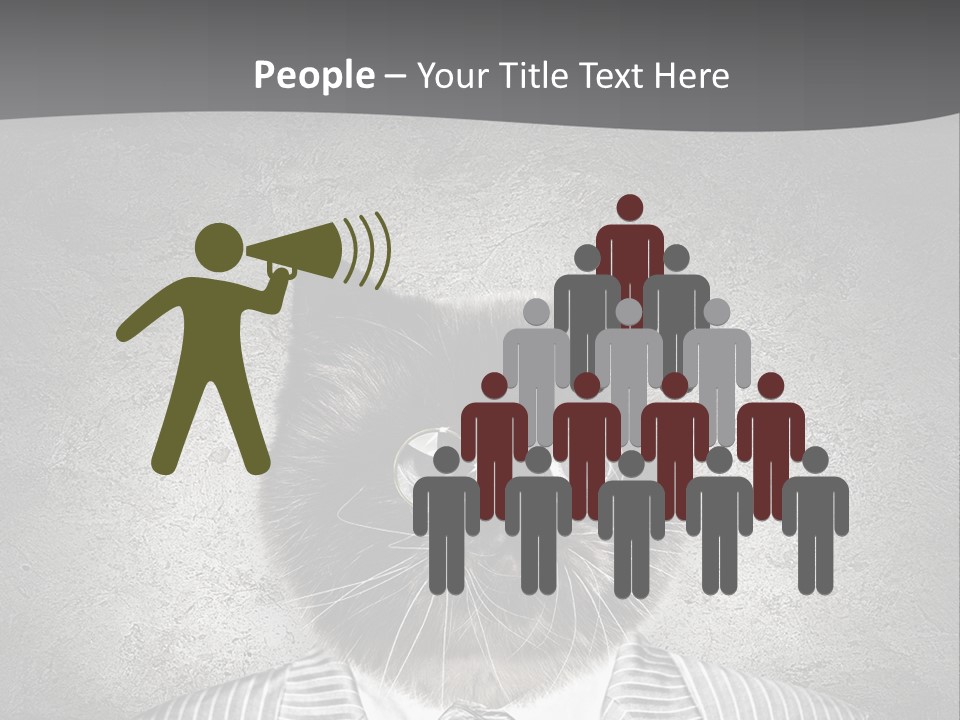 Studio Kitten Feline PowerPoint Template