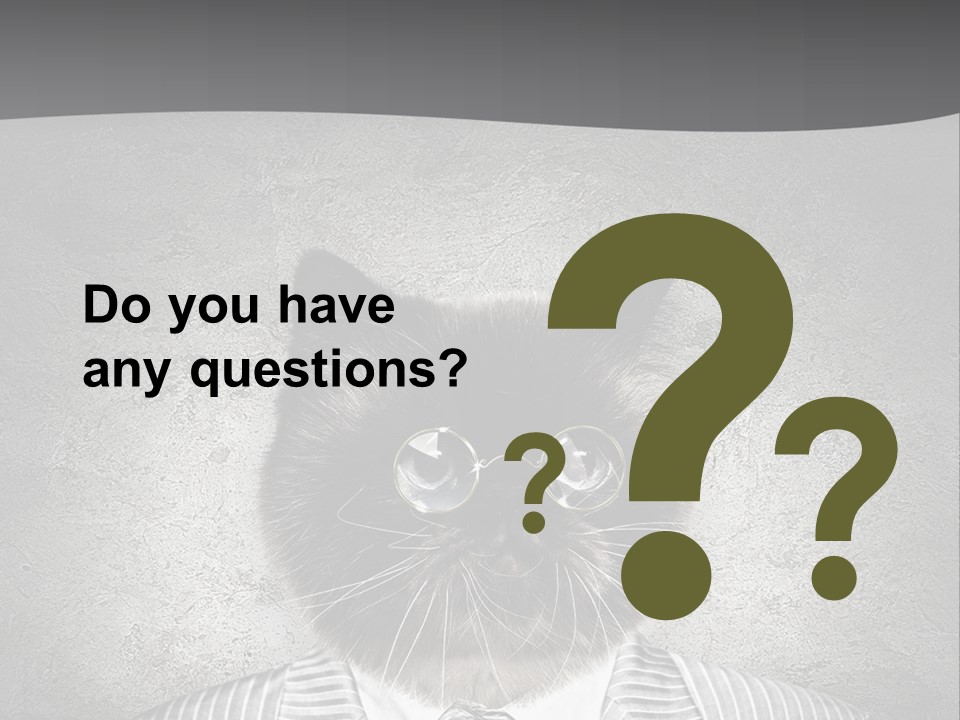 Studio Kitten Feline PowerPoint Template