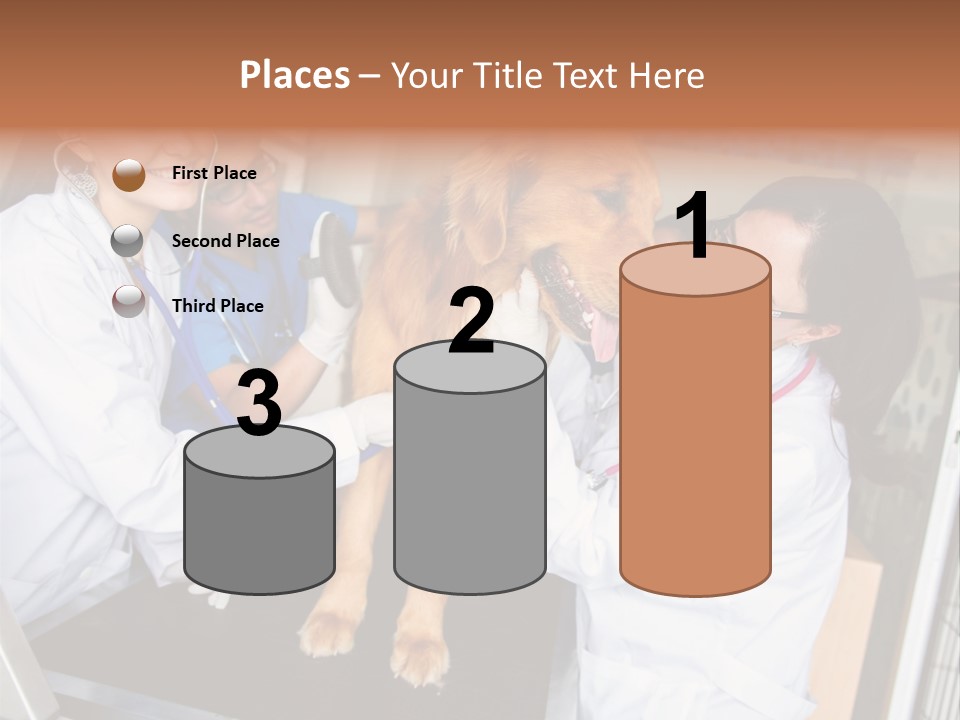 Checkup Doctors Animal PowerPoint Template