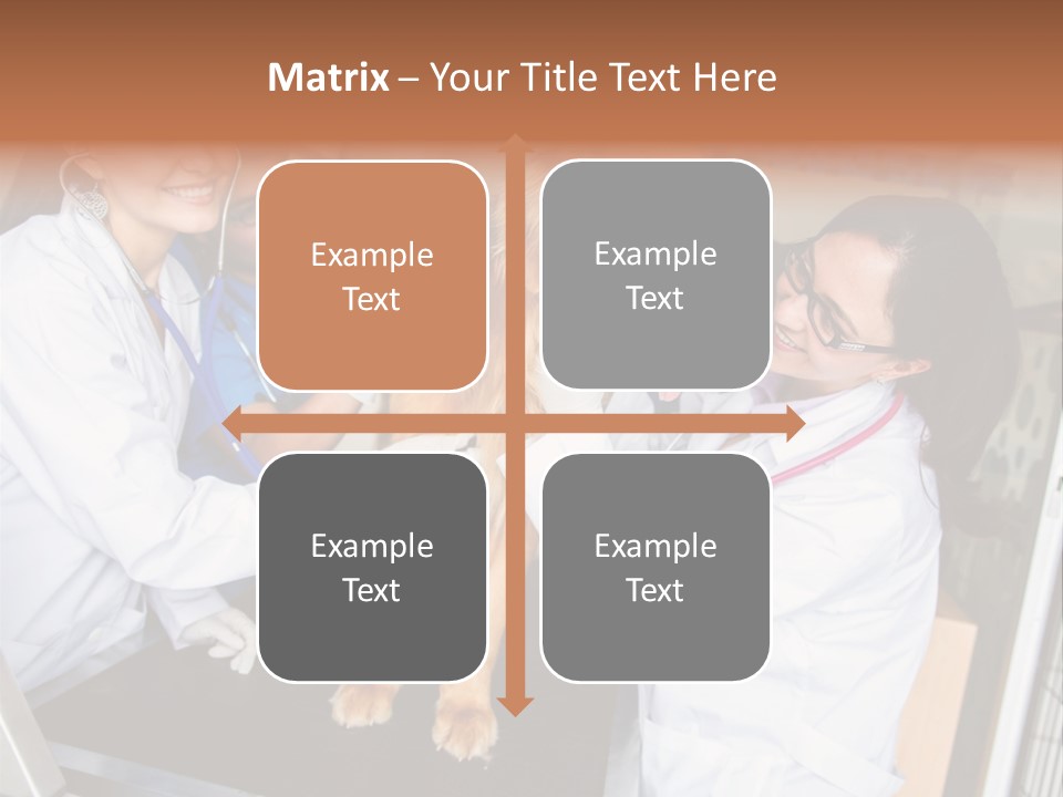 Checkup Doctors Animal PowerPoint Template