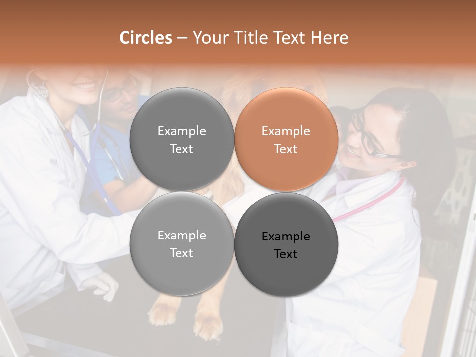 Checkup Doctors Animal PowerPoint Template