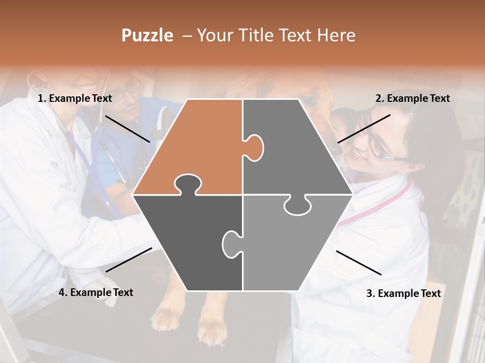 Checkup Doctors Animal PowerPoint Template