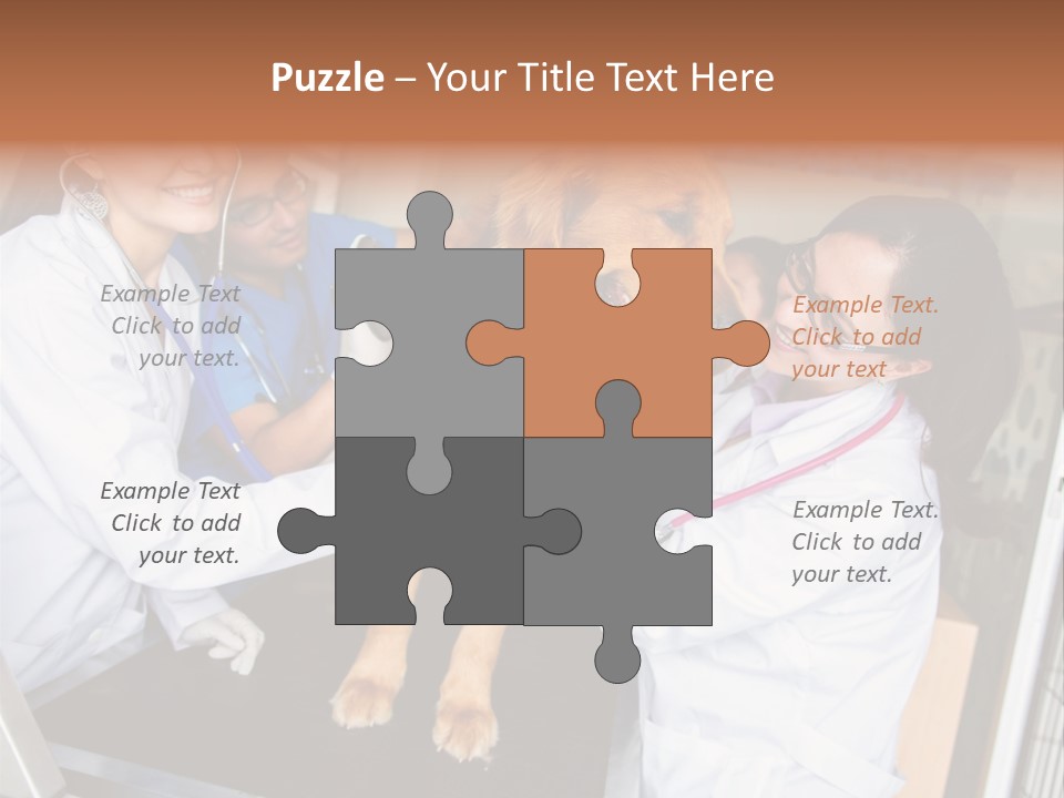 Checkup Doctors Animal PowerPoint Template