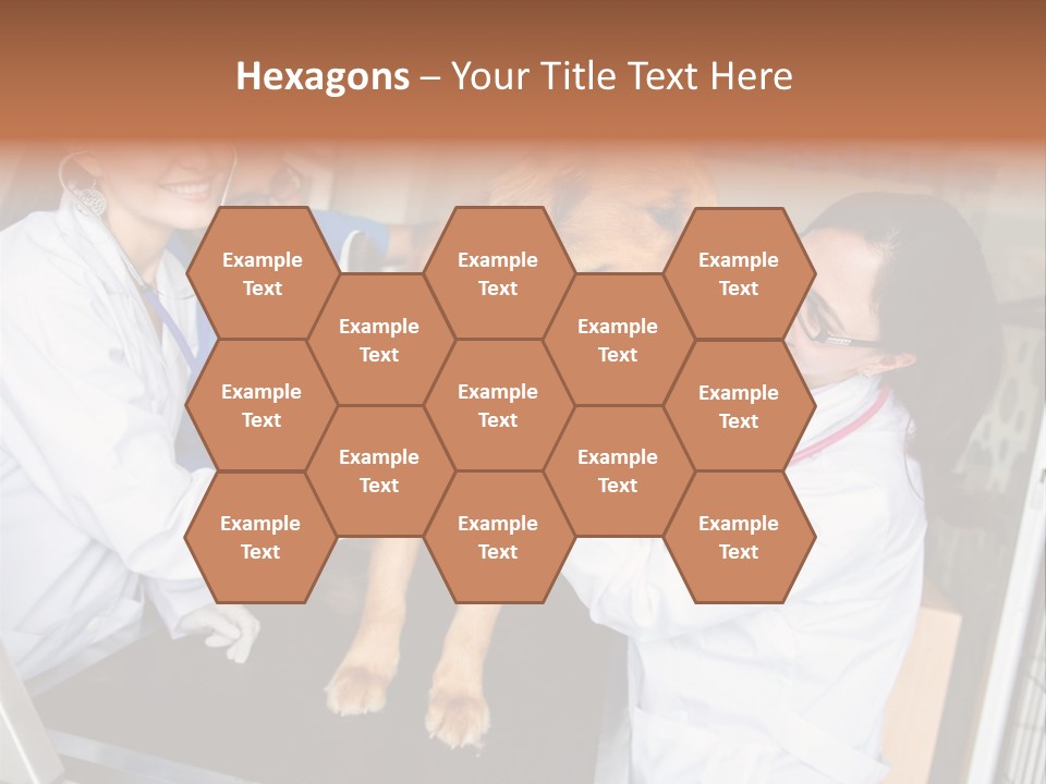 Checkup Doctors Animal PowerPoint Template