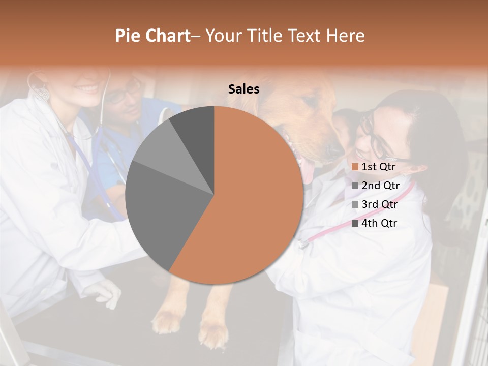 Checkup Doctors Animal PowerPoint Template