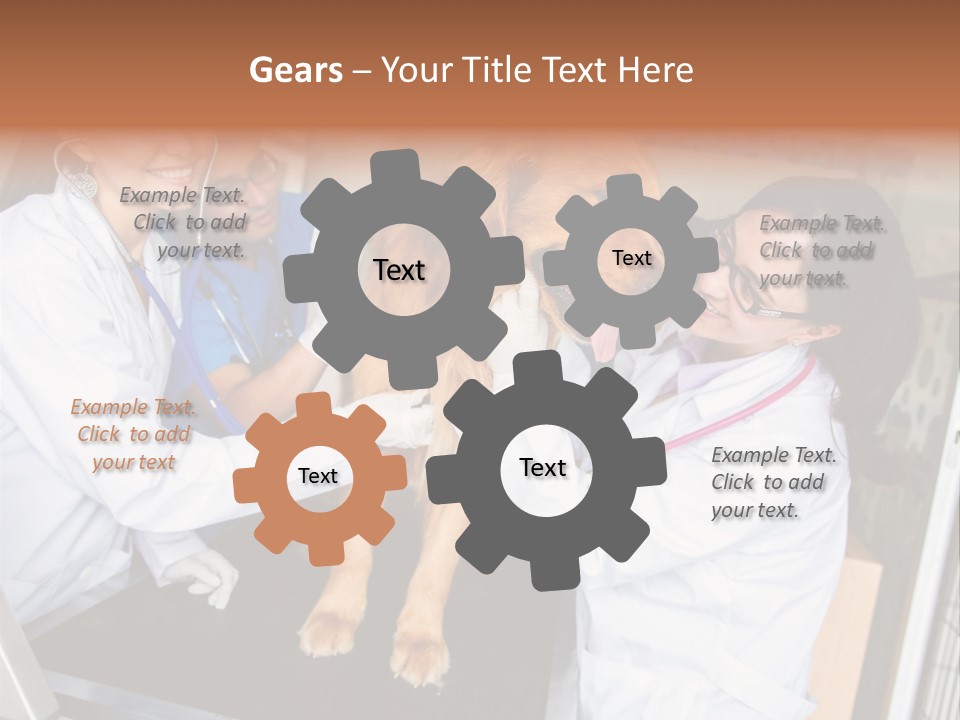 Checkup Doctors Animal PowerPoint Template