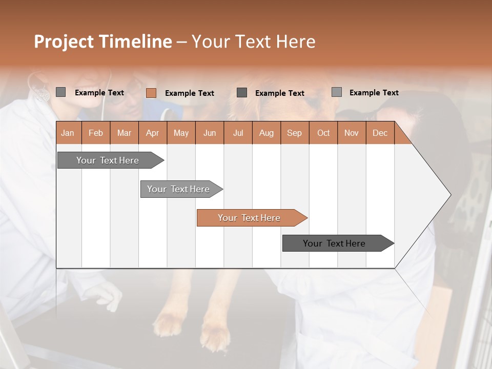 Checkup Doctors Animal PowerPoint Template