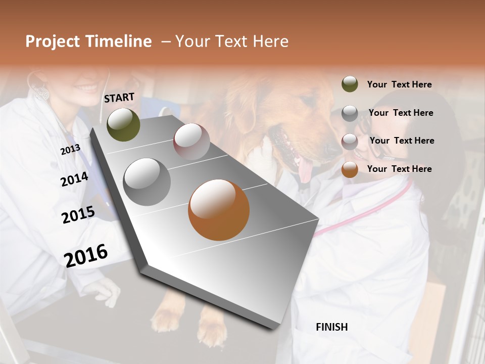 Checkup Doctors Animal PowerPoint Template