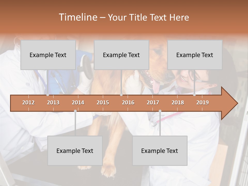 Checkup Doctors Animal PowerPoint Template
