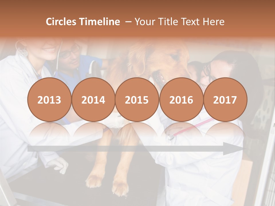 Checkup Doctors Animal PowerPoint Template