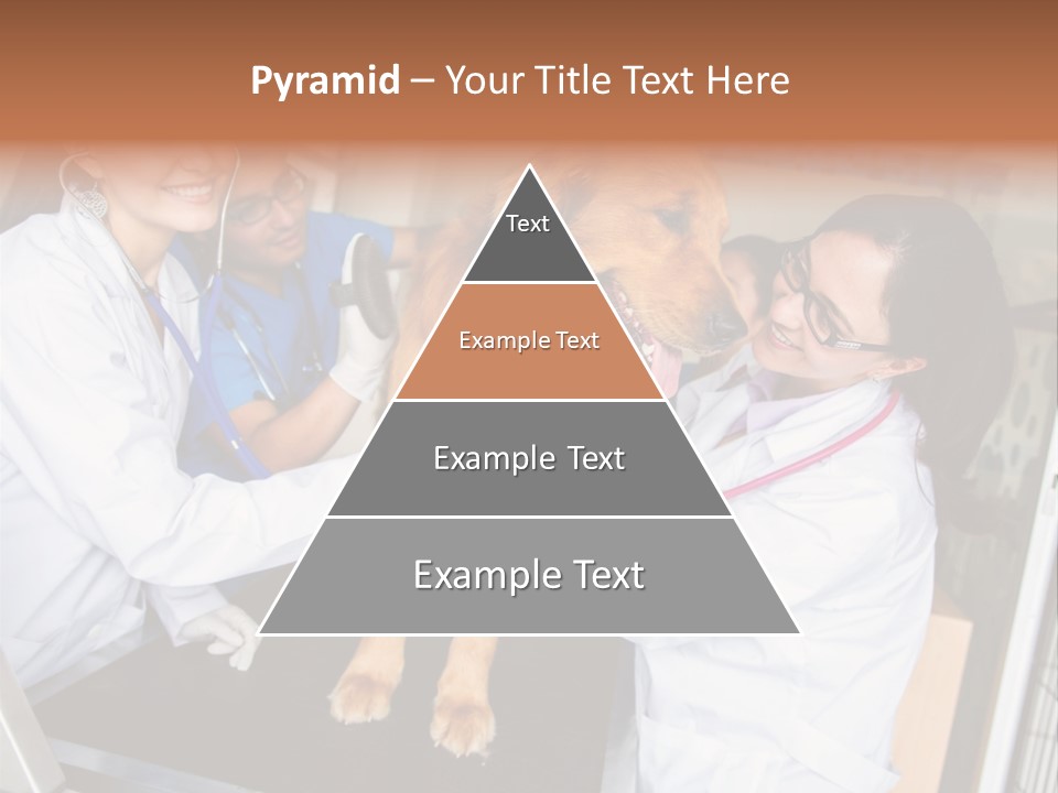 Checkup Doctors Animal PowerPoint Template