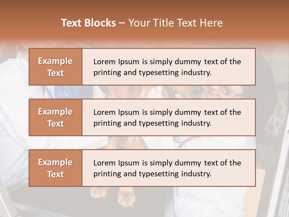 Checkup Doctors Animal PowerPoint Template