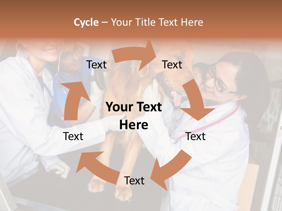 Checkup Doctors Animal PowerPoint Template