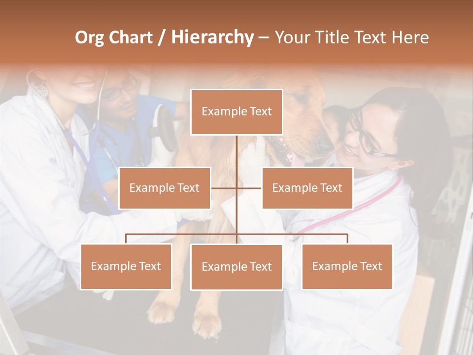 Checkup Doctors Animal PowerPoint Template