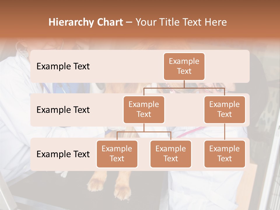 Checkup Doctors Animal PowerPoint Template