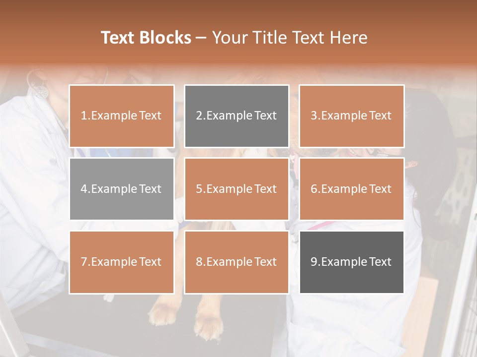 Checkup Doctors Animal PowerPoint Template