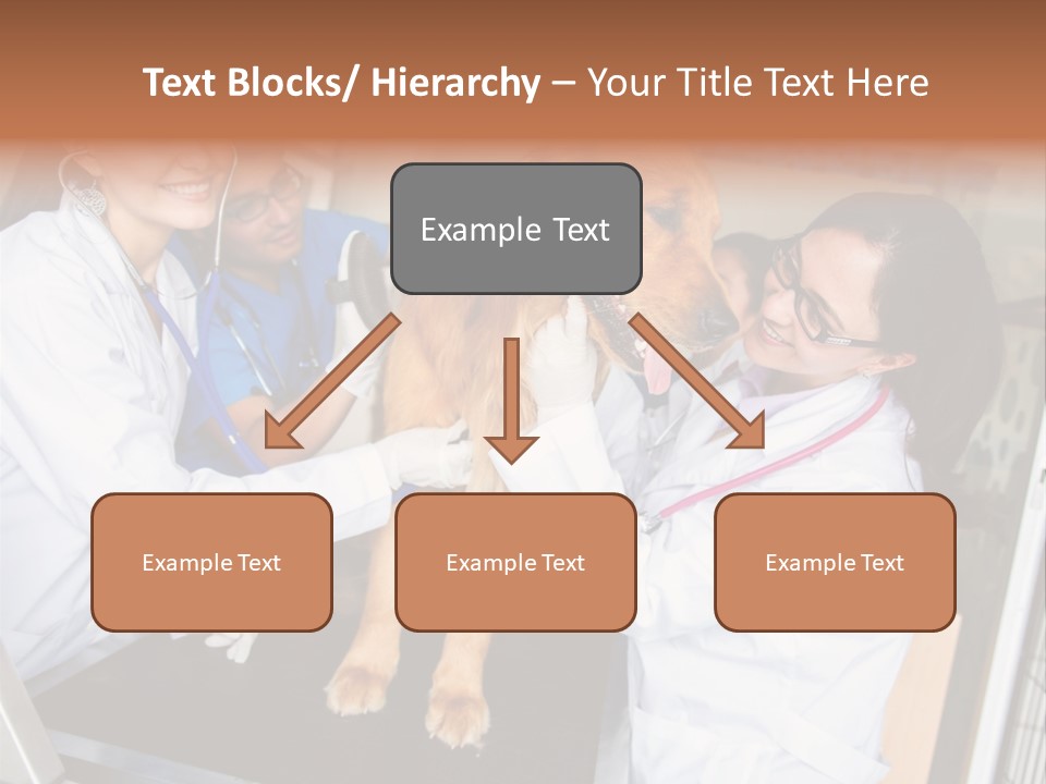 Checkup Doctors Animal PowerPoint Template