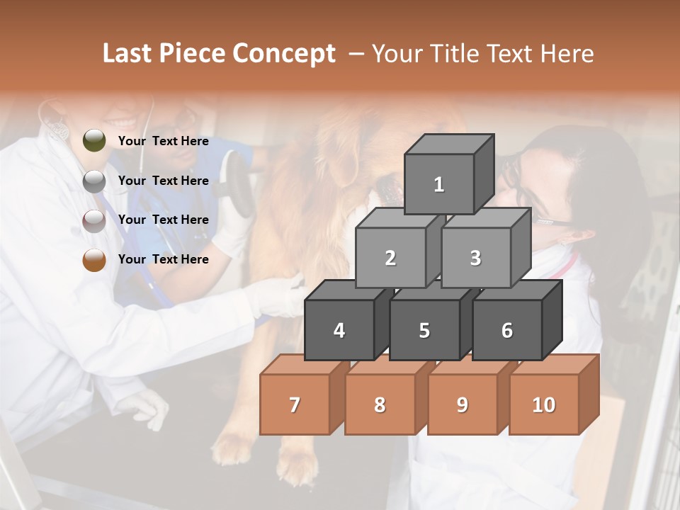 Checkup Doctors Animal PowerPoint Template