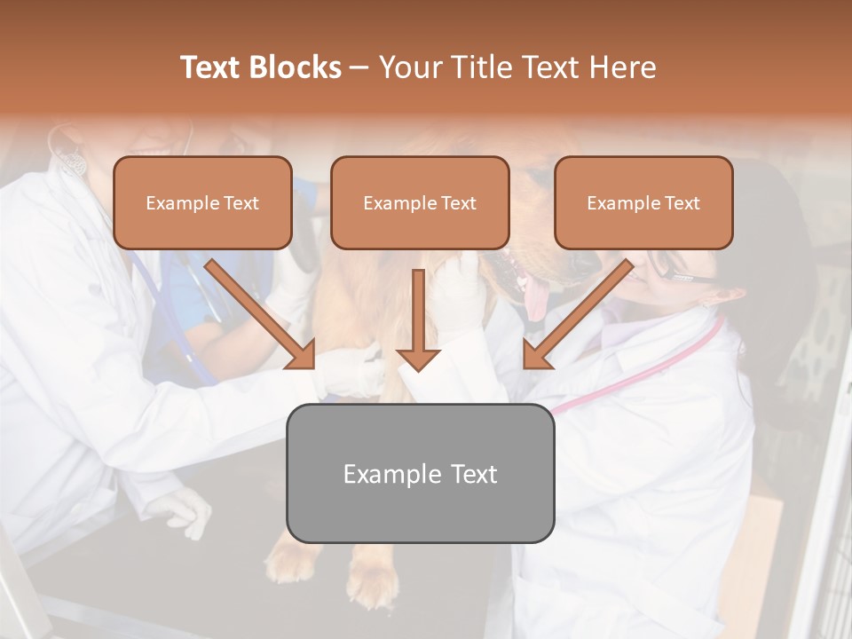 Checkup Doctors Animal PowerPoint Template