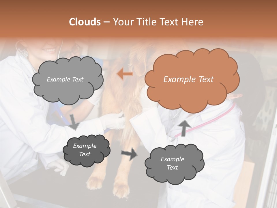 Checkup Doctors Animal PowerPoint Template