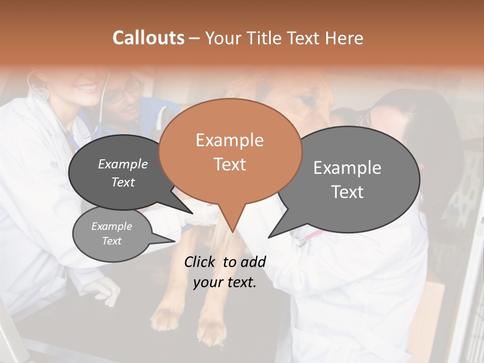 Checkup Doctors Animal PowerPoint Template