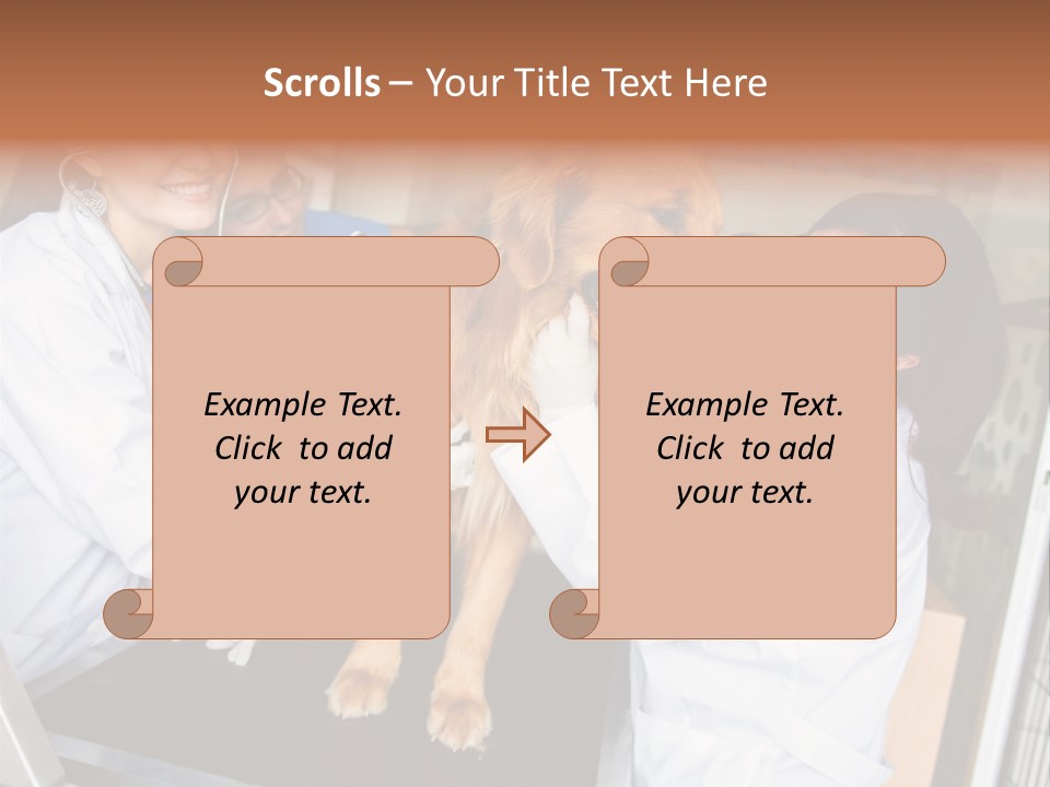 Checkup Doctors Animal PowerPoint Template