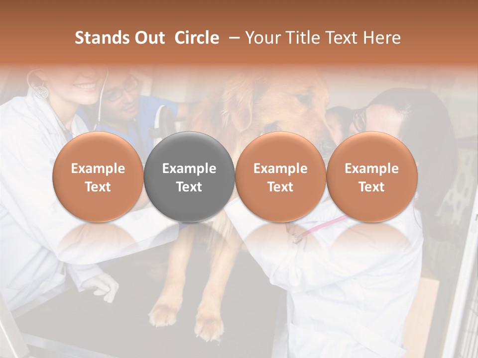 Checkup Doctors Animal PowerPoint Template
